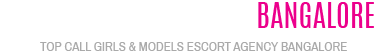 Jaipur Escorts jaipurvipescorts.com Logo